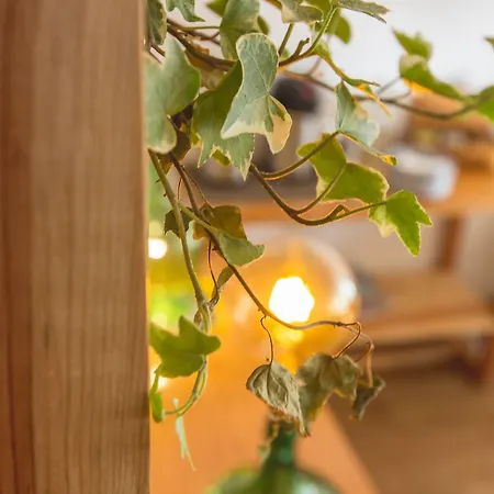 Story Гостевой дом Лиссабон