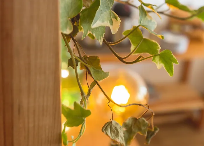 Story Gasthuis Lissabon