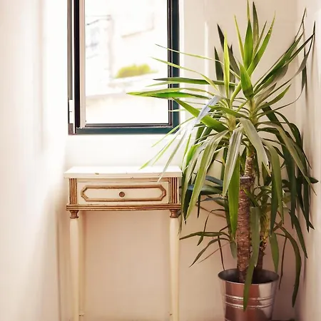 Story Gasthuis Lissabon